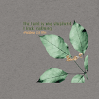 The Lord Is My Shepherd: Psalm 23:1 Tri-Blend